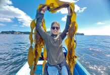 El reciclaje en la ruta de la regeneración de las algas