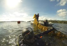 ULagos lanza centro de investigación e innovación productiva sobre macroalgas