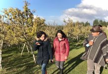 Red de la leche y la Carne planteó preocupaciones a Seremi de Agricultura