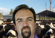 LIRCAY: Nutrición y alimentación en terneros, en crianza artificial.