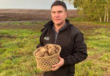 La experiencia de PepsiCo en el Cono sur.