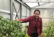 Sustentabilidad y seguridad hídrica serán prioridades para la nueva seremi de Agricultura