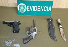 OS 9 de Carabineros detuvo a un sujeto que portaba arma de fuego y recupera camioneta robada
