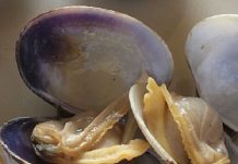 Niño de 3 años muere en medio de alerta emitida por mariscos con toxina paralizante