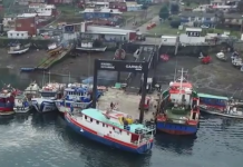 Pescadores de Anahuac y marea roja: Hay que aplicar una fiscalización fuerte para la confianza del consumidor