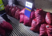 Municipio de Puerto Montt fiscaliza certificación de Autoridad Sanitaria en venta y consumo de mariscos