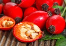 Frutos de rosa mosqueta, musgo Sphagnum magellanicum y extracto de quillay, los mas exportados.