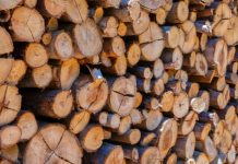 Carabineros detuvo en flagrancia a dos sujetos por hurto de madera en la Costa de Osorno