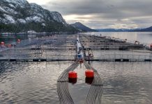 Relocalización de cultivos, el desafío para la innovación acuícola