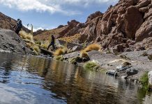 Subsecretaria Fuentes por Silala: «Este es un caso que tiene muchas posibilidades de ganarse»