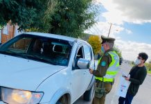 Senda y Carabineros realizaron más de 400 operativos de fiscalizaciones en rutas y carreteras por fin de semana largo
