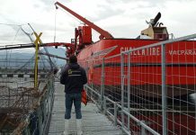 Sernapesca reporta cerca de 300 mil salmones muertos en un centro de cultivo