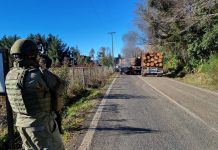 Contratistas Forestales: «Se acordó con el Gobierno que el camino era la ley de protección de infraestructura crítica»