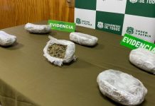 La Unión: Detectan equipaje en un bus con más de tres kilos de droga avaluada en $32 millones