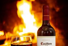 Nuevamente la segunda marca de vino más poderosa del mundo es chilena