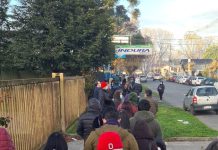 Realizan operativo de vacunación en Gimnasio Nestlé de Osorno este sábado