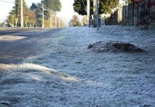 Hasta -5°C: advertencia agrometeorológica en seis regiones por heladas