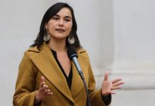 Gobierno ingresará indicaciones al proyecto que crea el Ministerio de Seguridad Pública