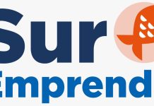 Más de 80 proyectos se han presentado para «Sur Emprende» del Consejo del Salmón