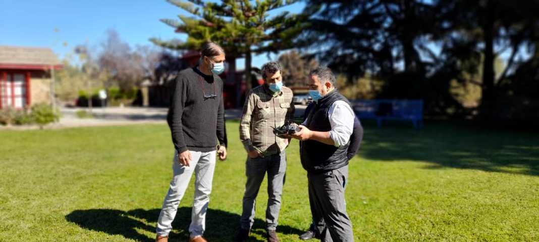 MicrosoftTeams-image