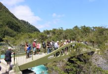 Presentan a nuevo director regional de Conaf en antesala del Día del Patrimonio Cultural