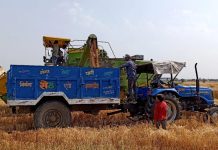 Ucrania acusa a Rusia de robar cientos de miles de toneladas de cereal.