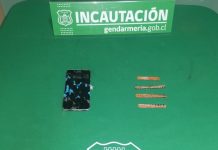 Arrojan paloma con celular y sierras para cortar metal a la cárcel de Osorno