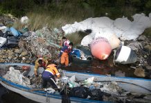 Limpieza de costas: Se retiraron en tres meses 75 toneladas de residuos, donde la mayoría es de la salmonicultura