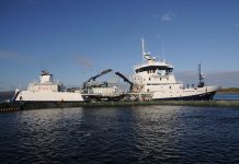 Armasur preocupada ante eventual «veto» de comunidades indígenas a proyectos acuícolas y marítimos