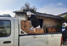 Club de Leones de Osorno realizó una nueva donación a hogares de acogida y centros de ayuda social