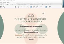 Funcionarios de tribunales de la jurisdicción Valdivia abordan acceso a la justicia de mujeres víctimas de violencia