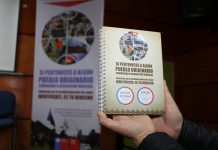 Refuerzan registro de pertenencia a PPOO de la provincia de Osorno para políticas de salud