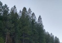 Declaran alerta temprana preventiva por bajas temperaturas en Palena