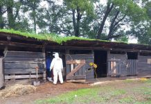 Subprefecto Quiroz calificó de atípico e insólito la confesión de un asesinato cometido hace 24 años en Osorno