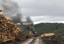 Queman maquinaria forestal en sector La Cumbre de San Juan de La Costa