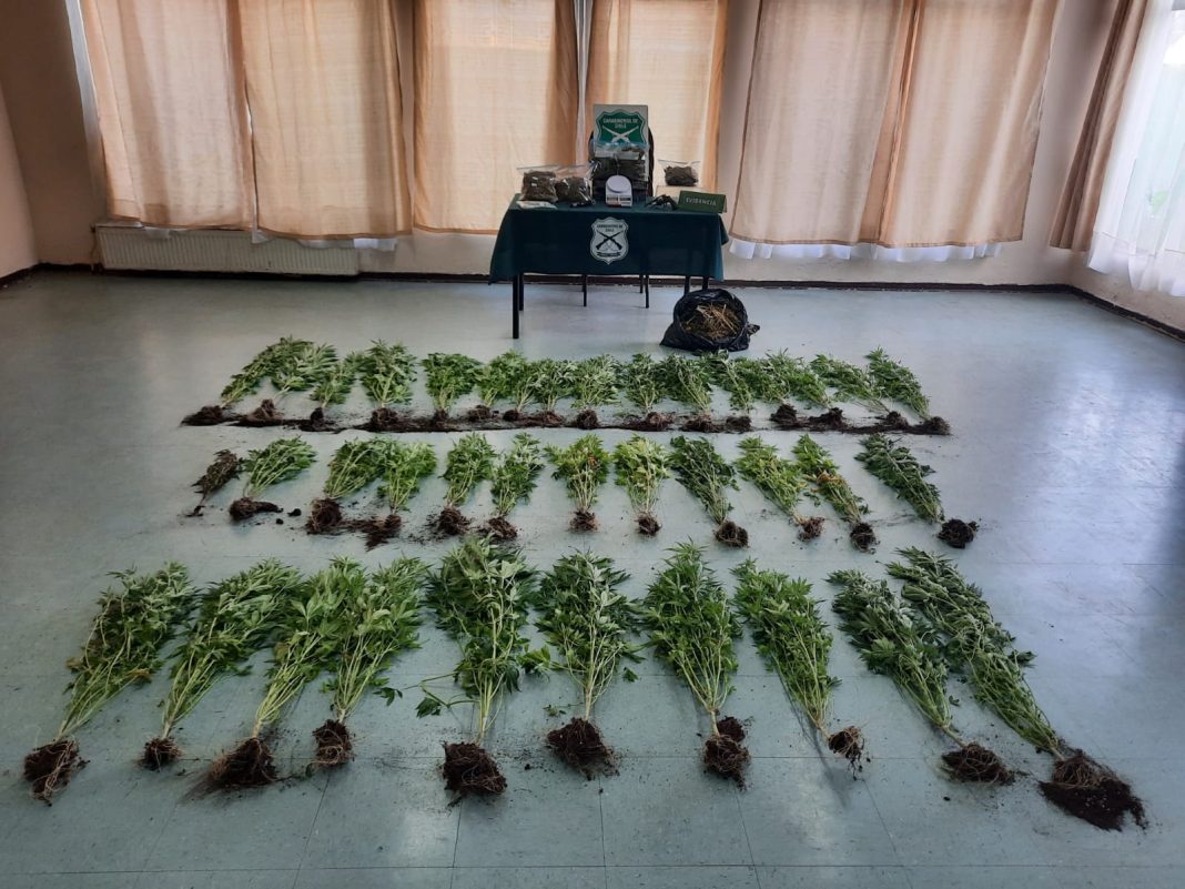 WhatsApp Image 2022-06-22 at 12.33.25 PM