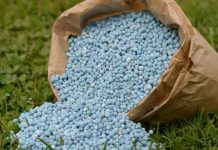 Precios de los fertilizantes agrícolas se triplican y amenazan precio final de los alimentos