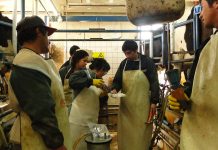 Las buenas practicas pedagógicas permiten al Instituto Adolfo Matthei lograr un 98% de inserción laboral