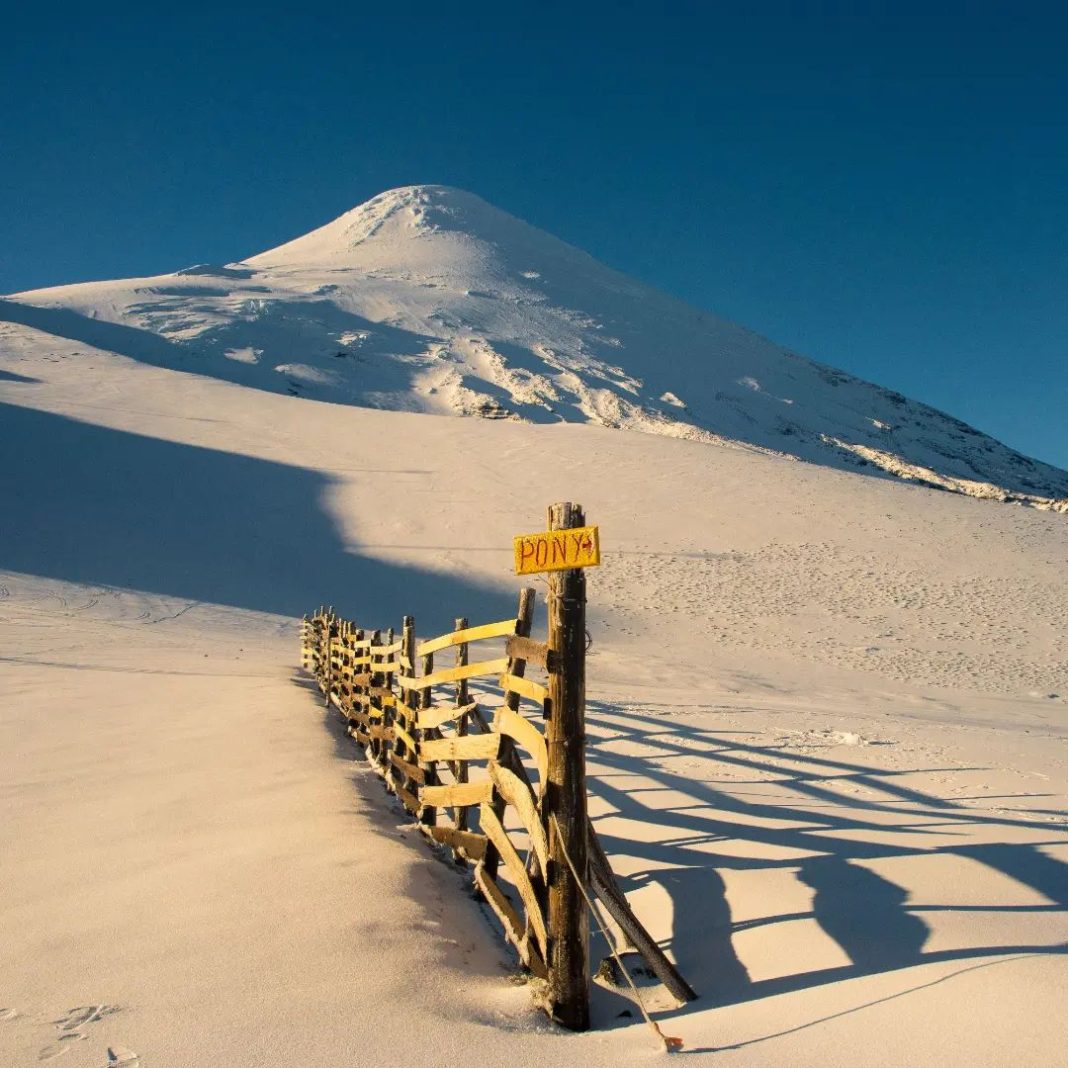 286439302_2311321029020771_1046765812703372498_n