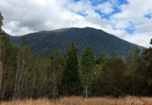 Asociación Gremial Chile Rural busca crear normativa para regular las parcelaciones y evitar su prohibición