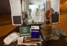 Incautan más de una tonelada 300 kilos de recursos del mar