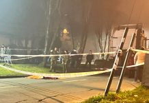 Puerto Montt: Formalizan a chofer de camión que atropelló a mujer en Alerce