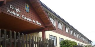 Hombre muere tras sufrir caída en la comuna de Fresia