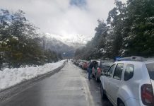 Aduanas: Tráfico de vehículos en el Paso Cardenal Samoré aumentó en un 40% tras su reapertura