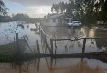 Vecinos de Colonia La Radio en Frutillar permanecen inundado por intensas precipitaciones
