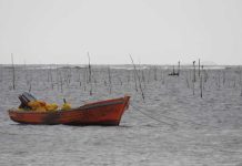 Vallespín y Ley Lafkenche : Las comunidades deben coexistir con la pesca artesanal y otros rubros