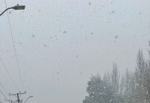 Anuncian caída de nieve en diversos sectores de la región de Los Lagos