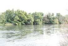 Aumento de caudal de Río Rahue mantiene en Alerta Amarilla a Osorno