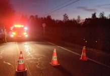 Carabineros busca auto Renault Azul por fatal atropello en Puerto Octay