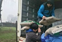 Adultos mayores de Osorno se coordinan para enfrentar la escasez de pellet